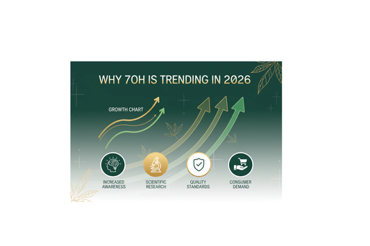 Why 7OH Is Trending in 2026?