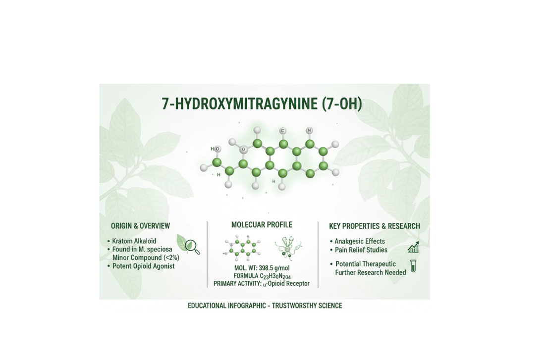 7OH Kratom Breakdown: Facts About 7-Hydroxymitragynine