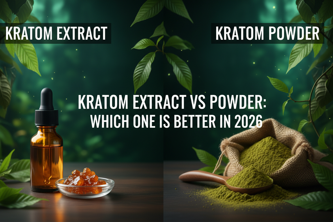 Kratom Extract vs Powder: Which One Is Better in 2026?