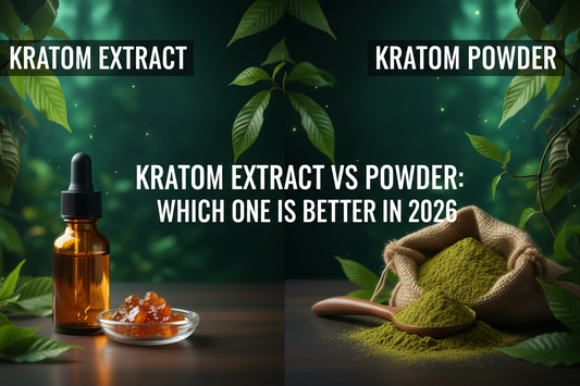 Kratom Extract vs Powder: Which One Is Better in 2026?
