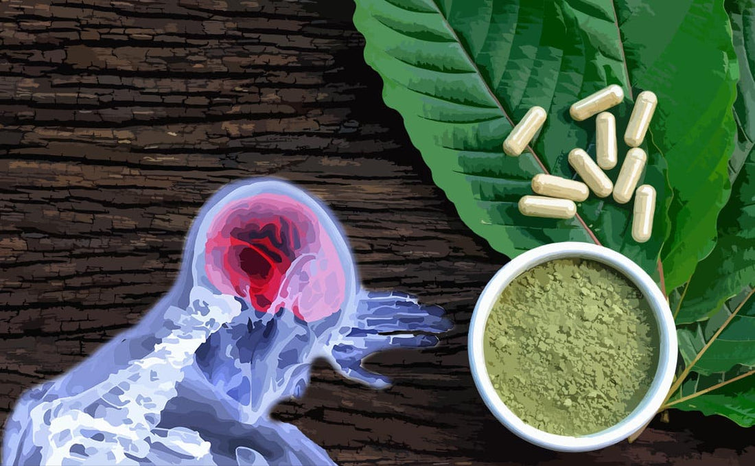 Best Kratom for Pain Relief (2026): Top Strains, Dosage & Buyer’s Guide
