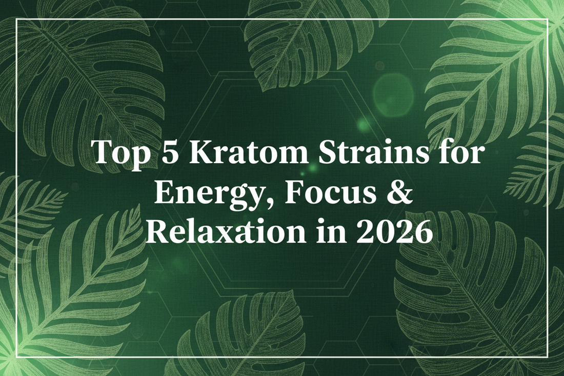 Top 5 Kratom Strains for Energy, Focus & Relaxation in 2026