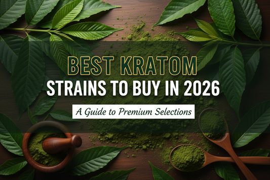 Best Kratom Strains to Buy in 2026 | Top Extracts, Powders & Tablets