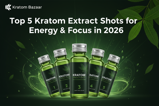 Top 5 Kratom Extract Shots for Energy & Focus in 2026